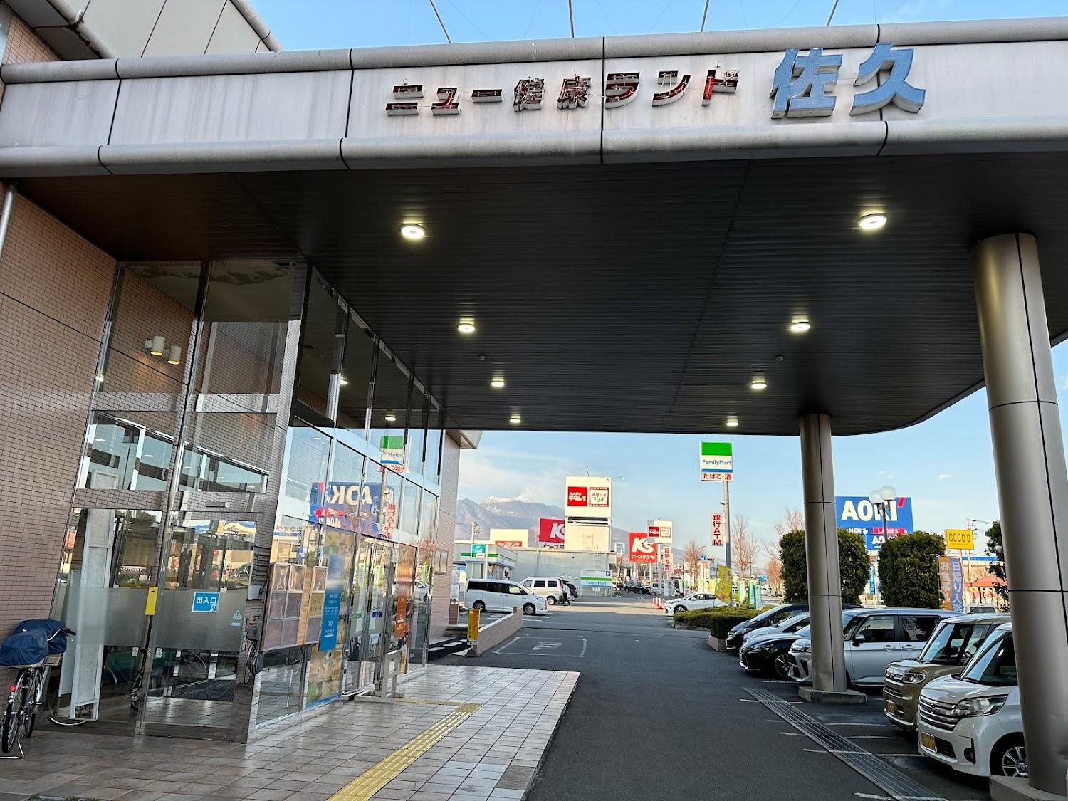 Cover Image for Sakudaira Plaza 21