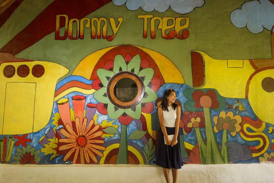 Cover Image for Dorme Tree