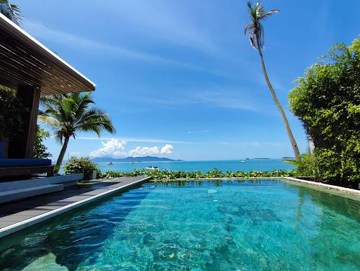 Cover Image for CELES SAMUI