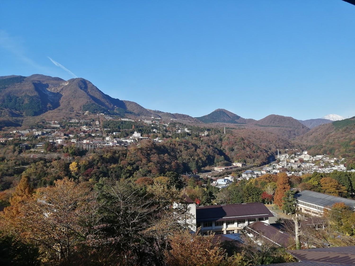 Cover Image for 4 Seasons Club Hakone Star Of Home