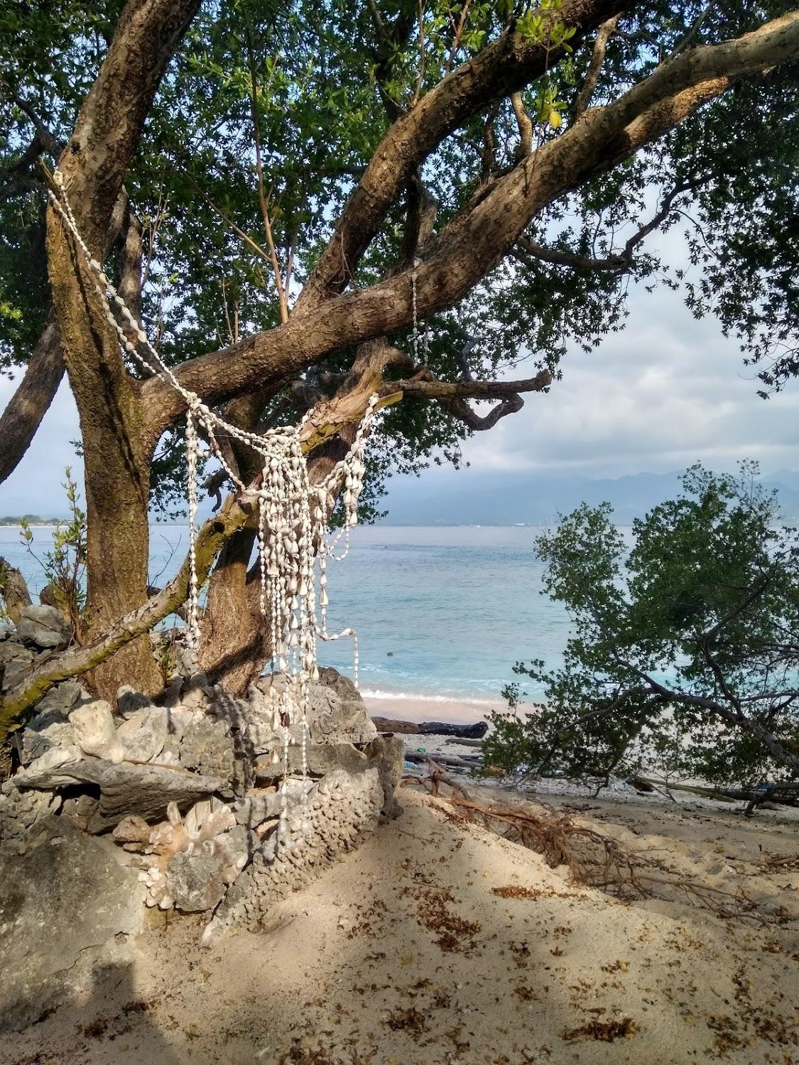 Cover Image for Biru Meno Bungalows