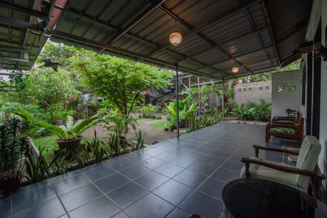 Cover Image for Yan's Homestay