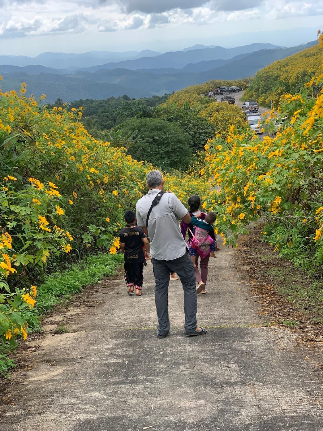 Cover Image for Buatong Valley