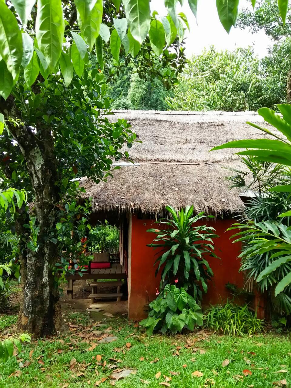 Cover Image for Naga Hill Resort