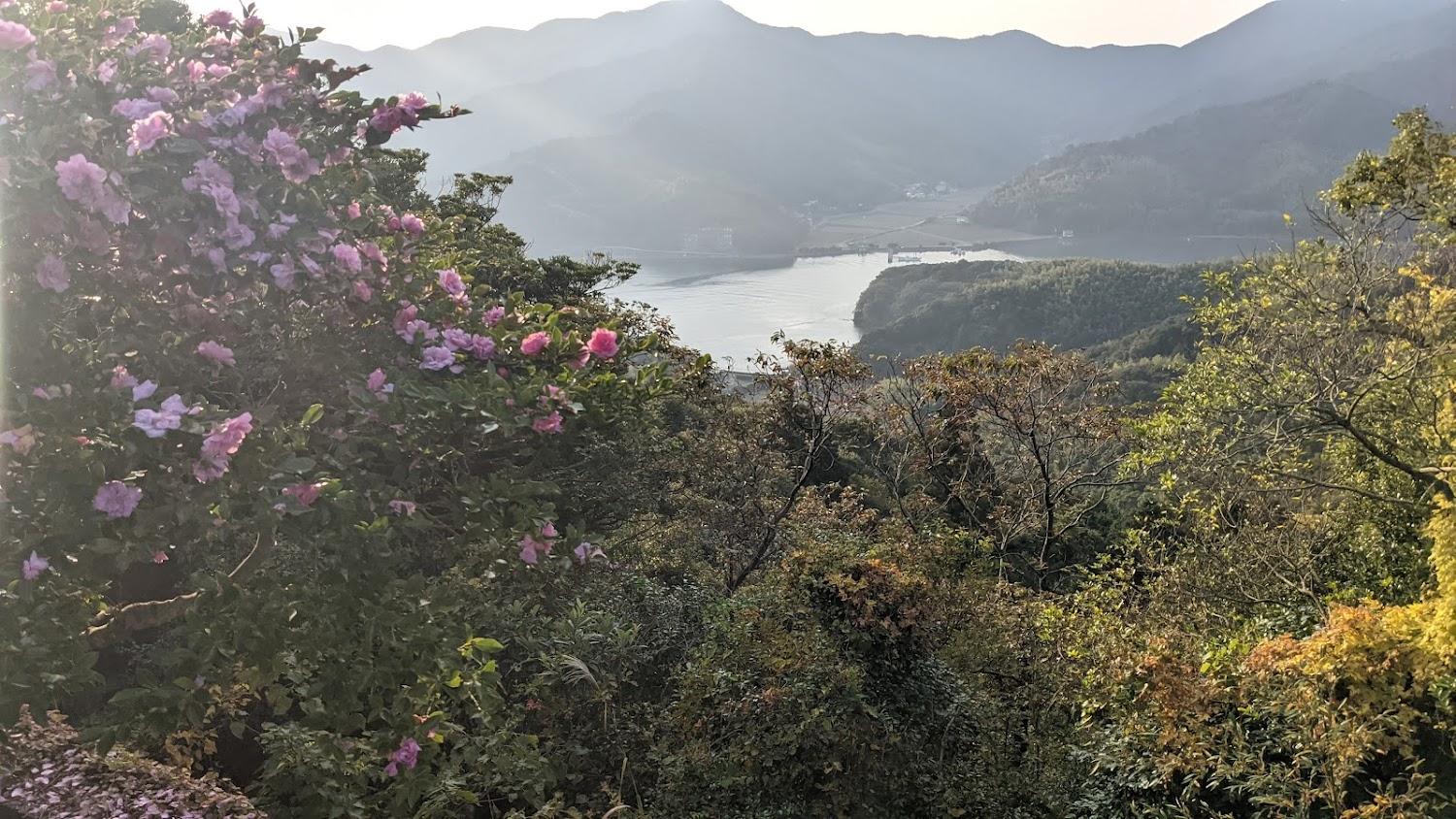Cover Image for Tsubaki Natural Garden