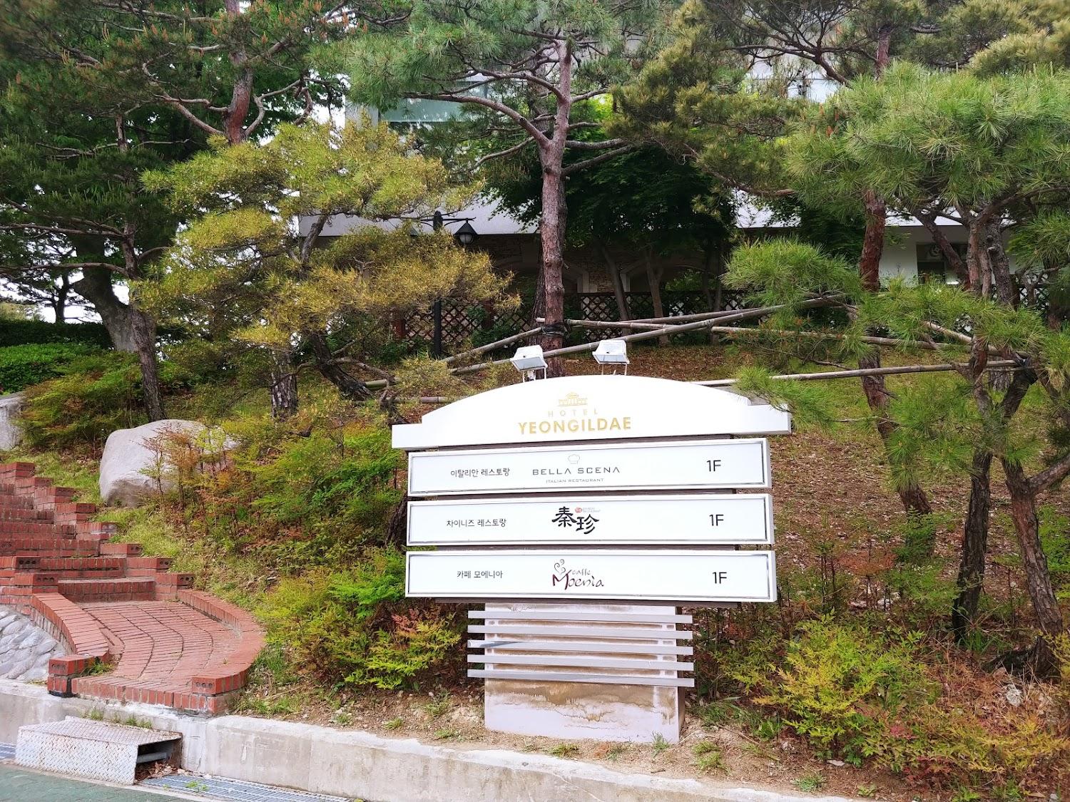 Cover Image for 호텔 영일대