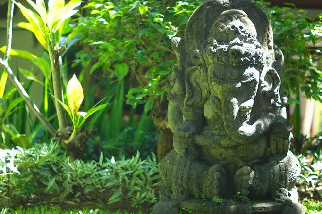 Cover Image for Indo Rumah Zengarden