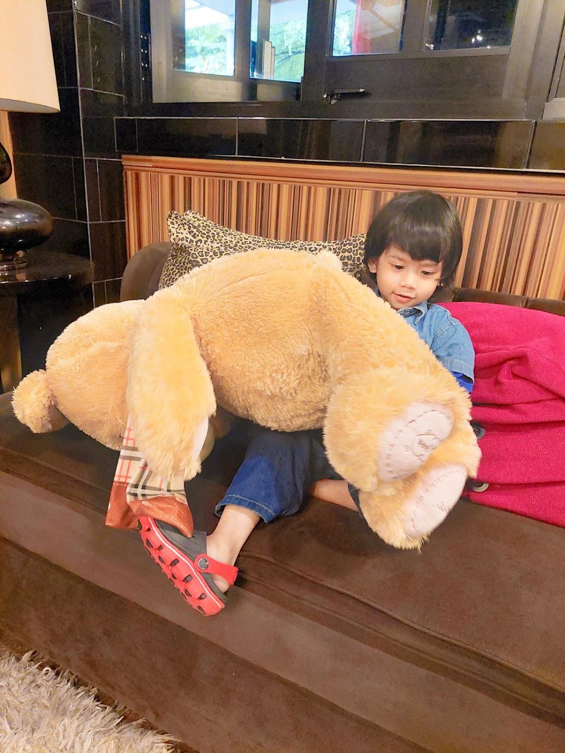 Cover Image for Little Amaroossa