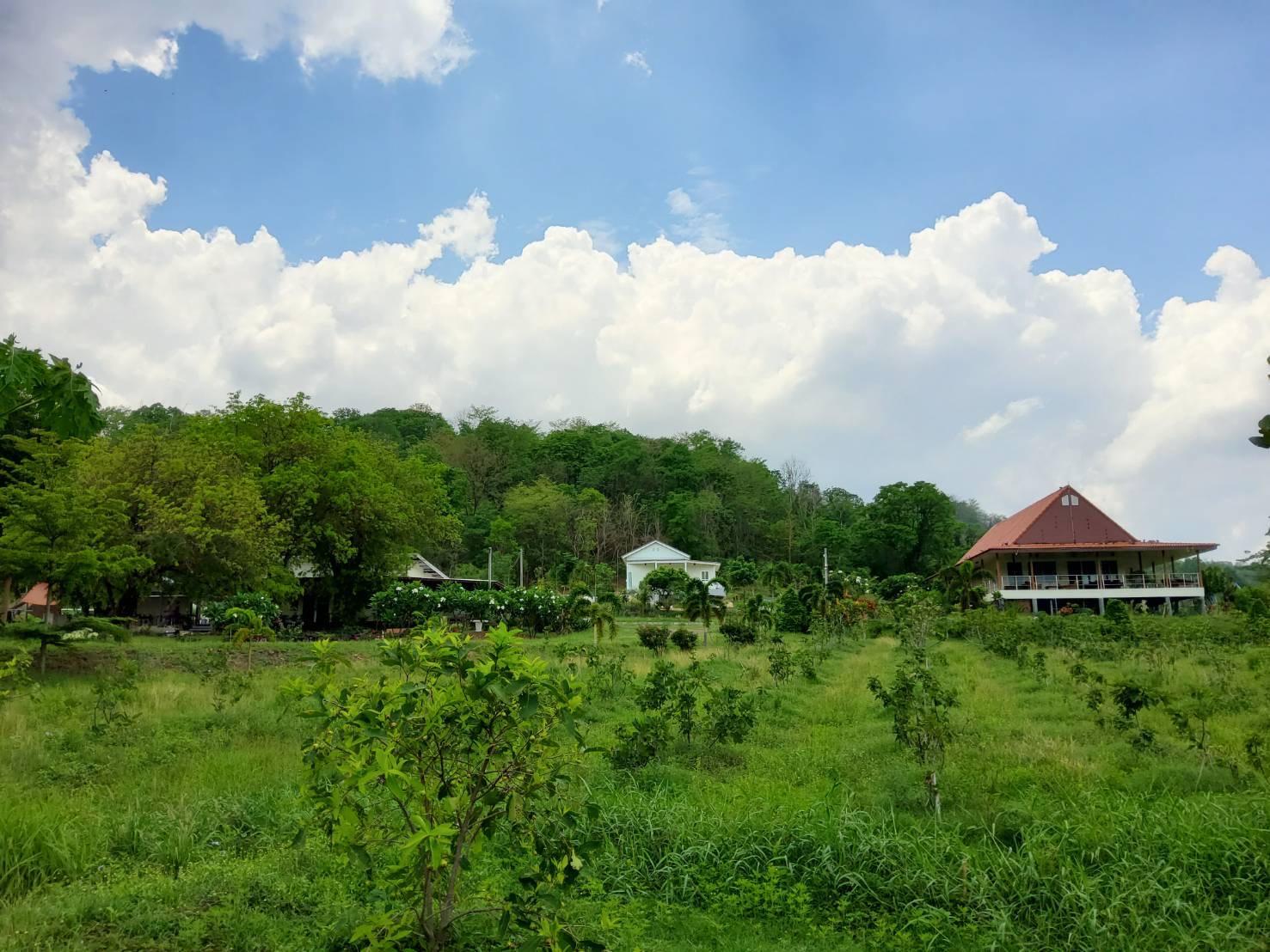 Cover Image for The Green Vale B&B เดอะกรีนเวล ออแกนิค ฟาร์ม"บ้านพักในฟาร์ม"