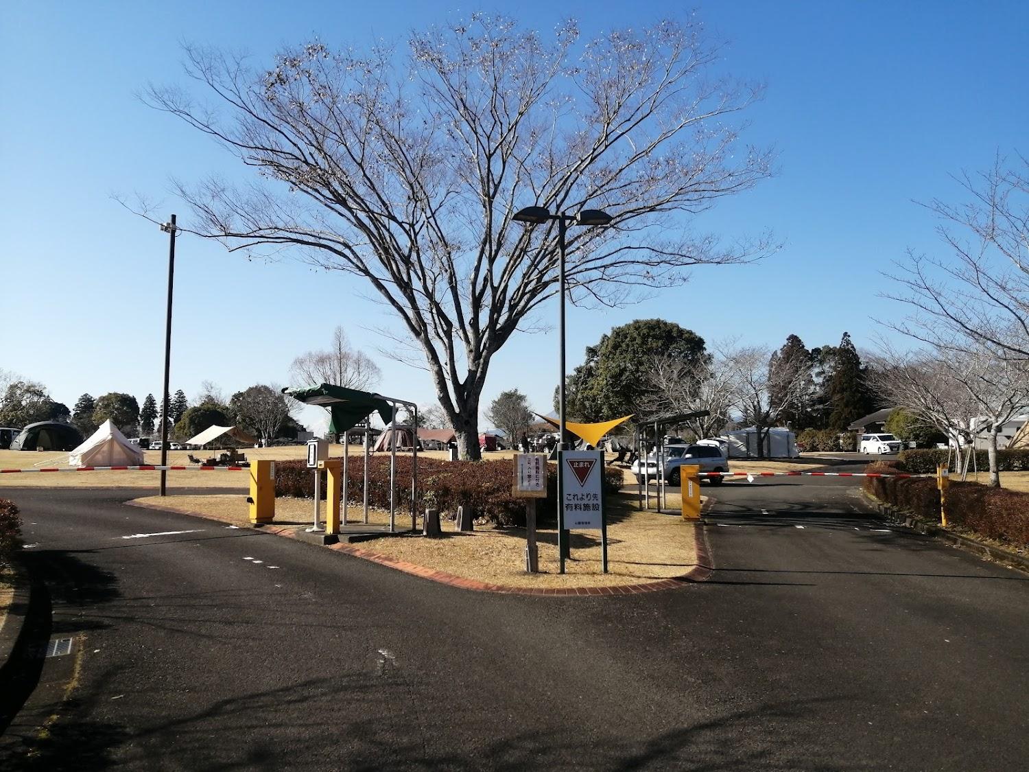 Cover Image for Kannonike Park Auto Camping Ground