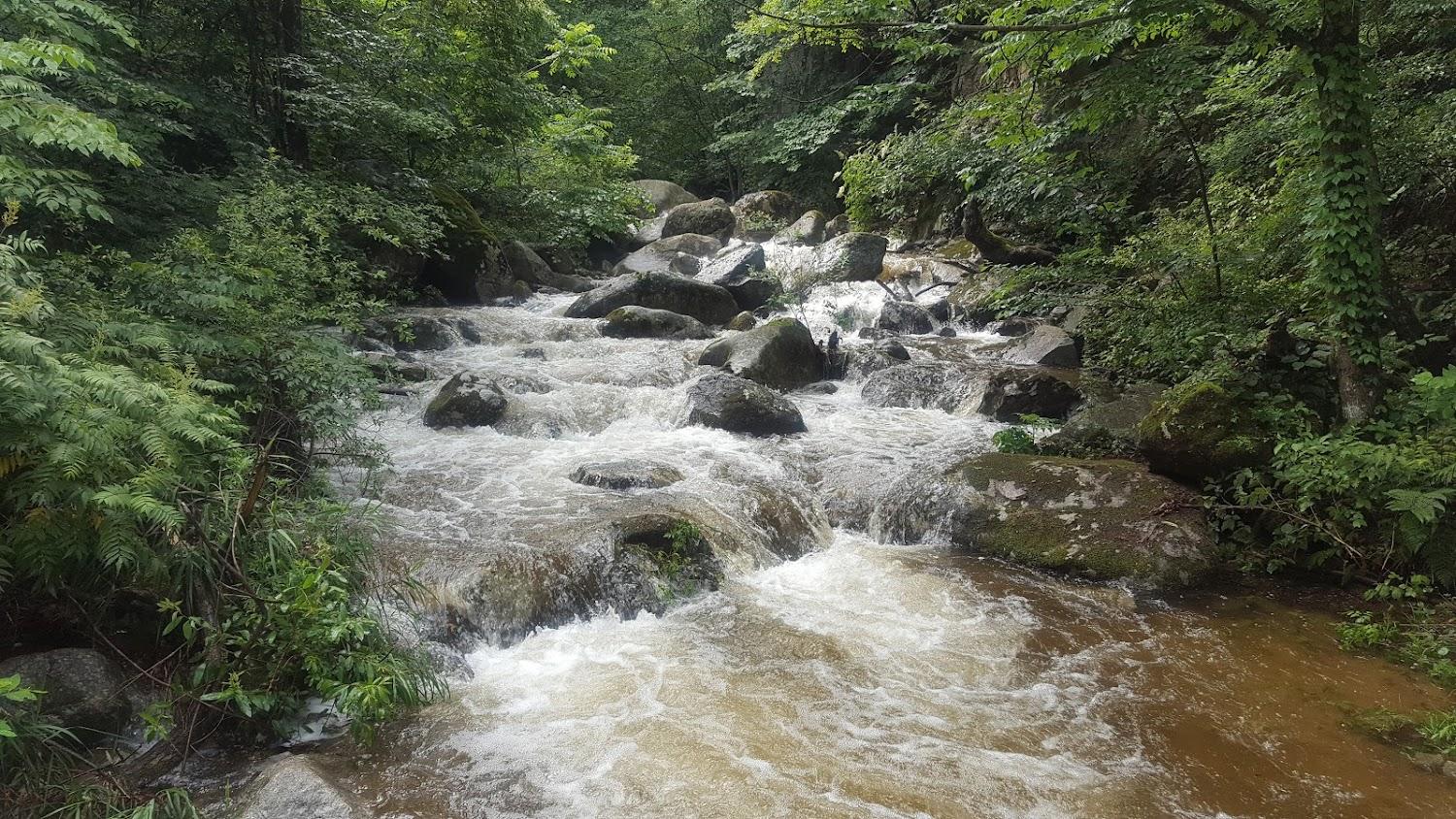 Cover Image for 통나무펜션