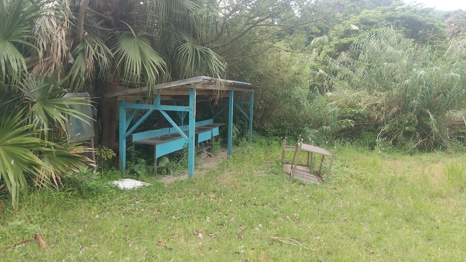 Cover Image for Maruki beach campground