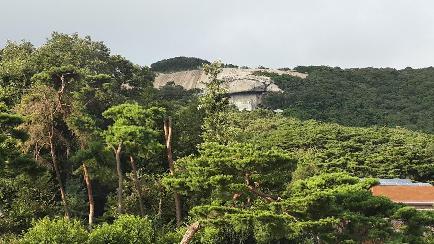 Cover Image for 보문장모텔