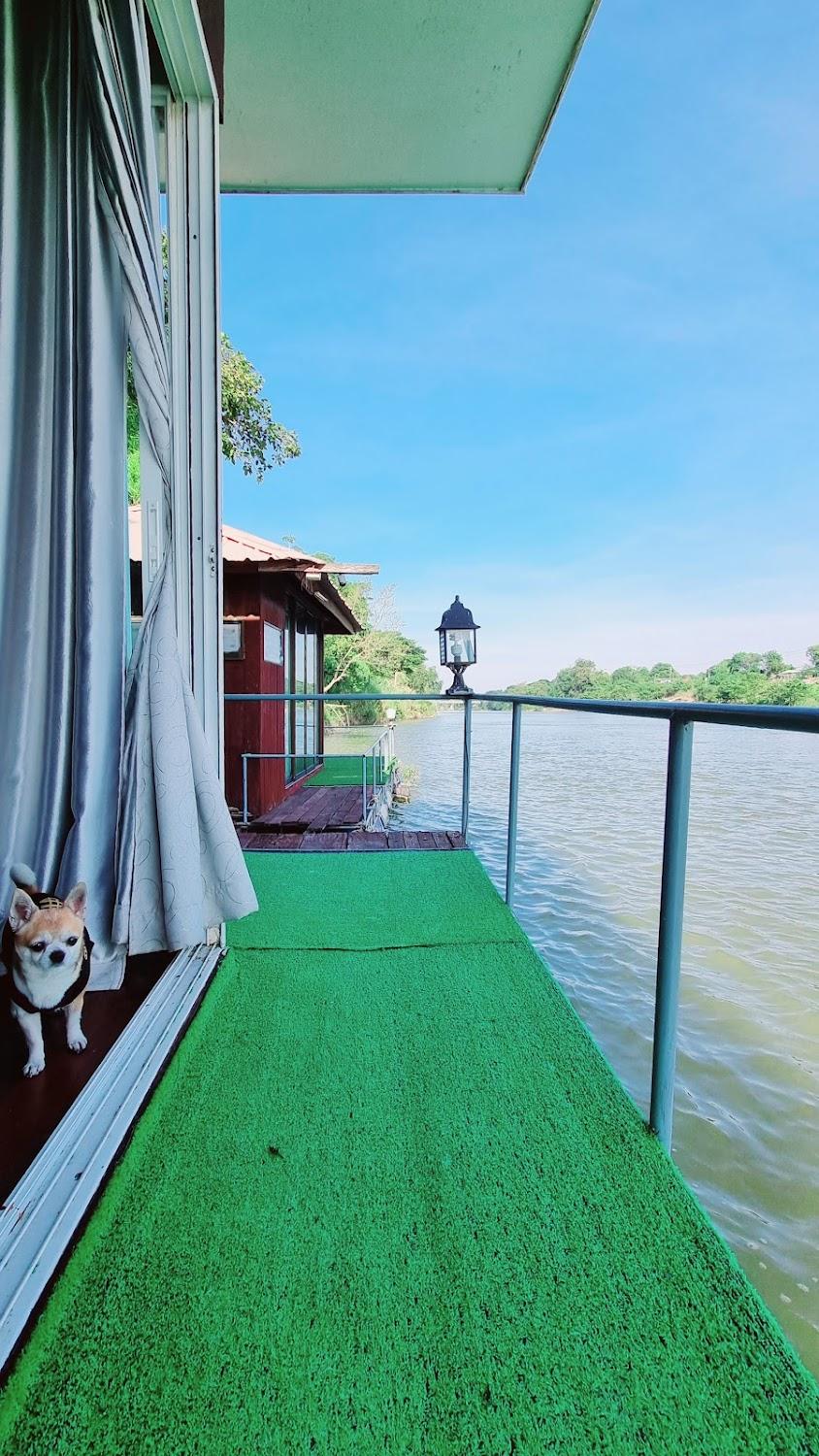 Cover Image for Lollop