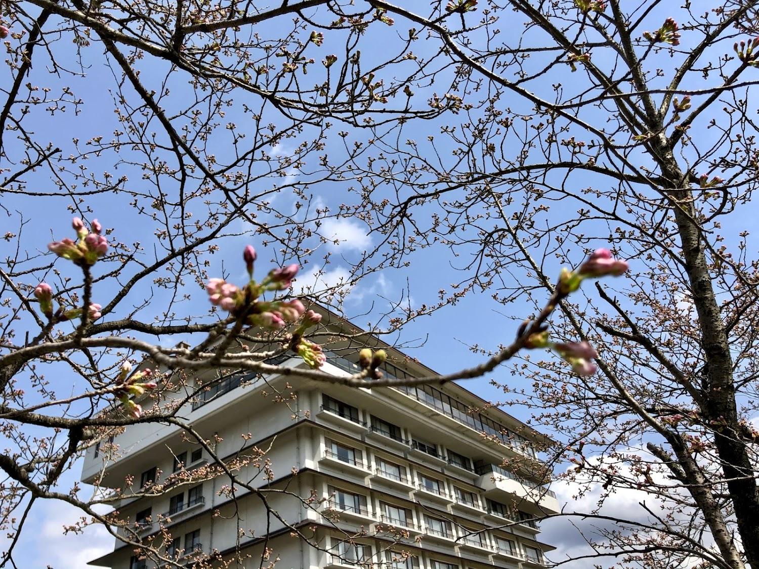 Cover Image for 月岡温泉 ホテル清風苑