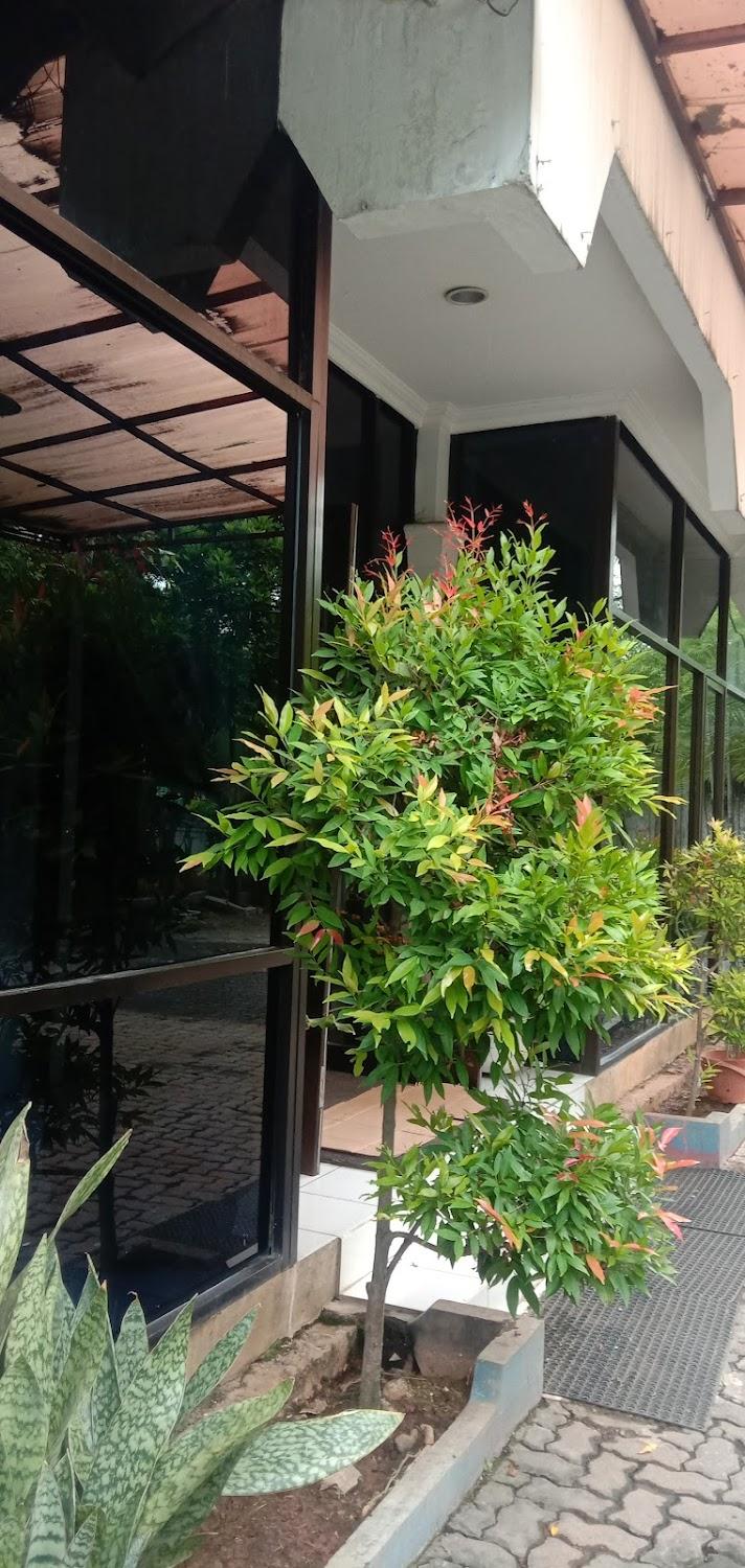 Cover Image for Ảnh At a glance