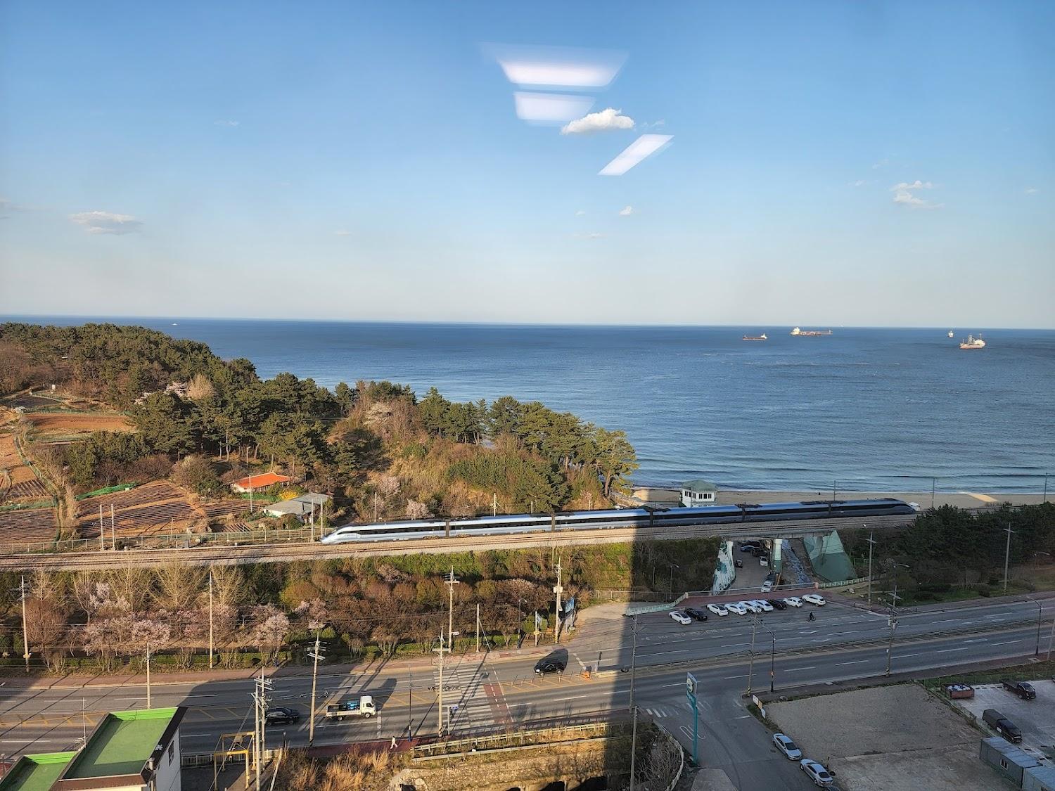 Cover Image for 동해오션시티 레지던스호텔