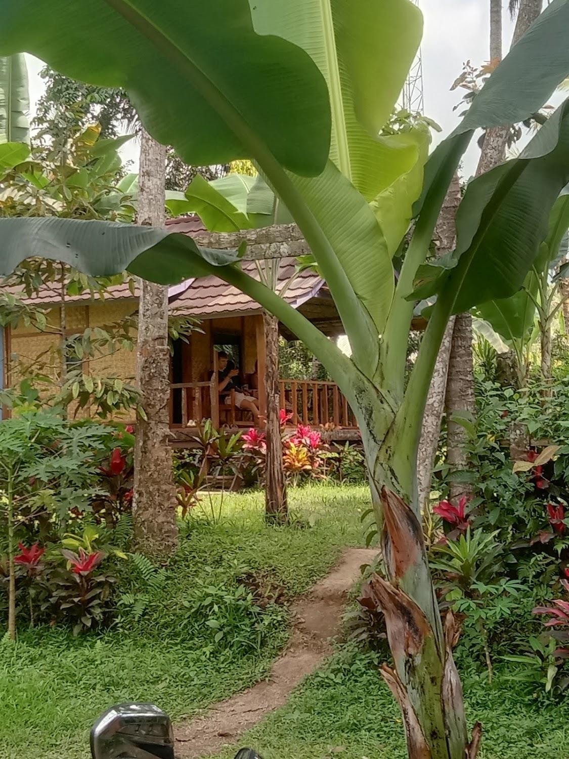 Cover Image for Banana Bungalows Tetebatu Lombok Timur