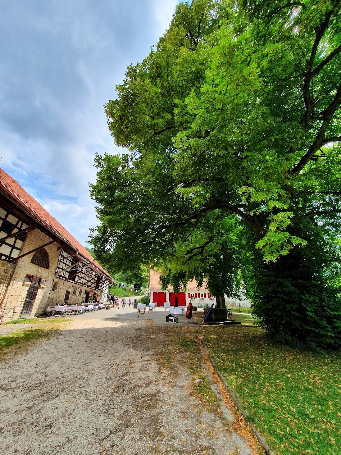 Cover Image for Hofgut Uhenfels