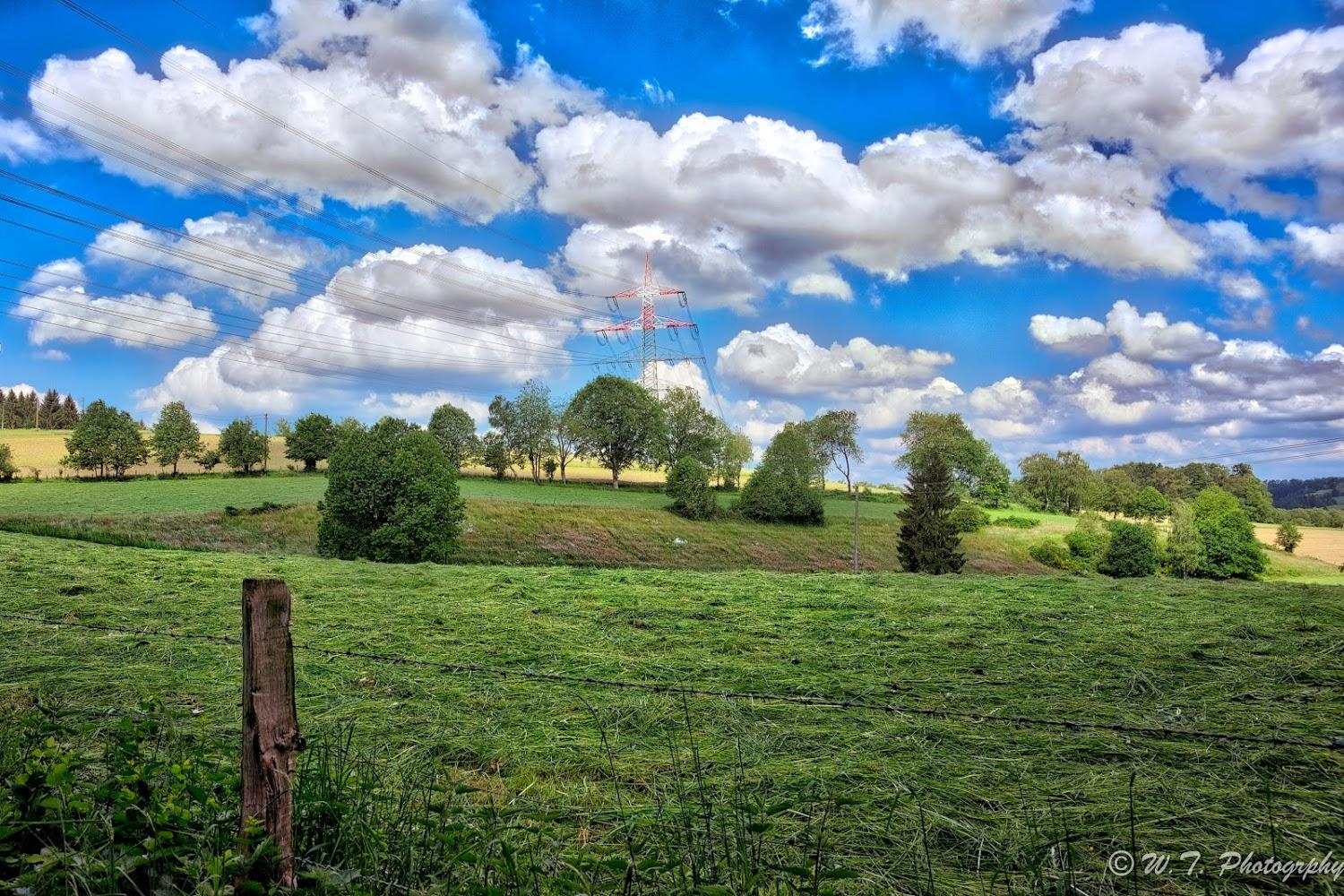 Cover Image for Arche Noah Marienberge