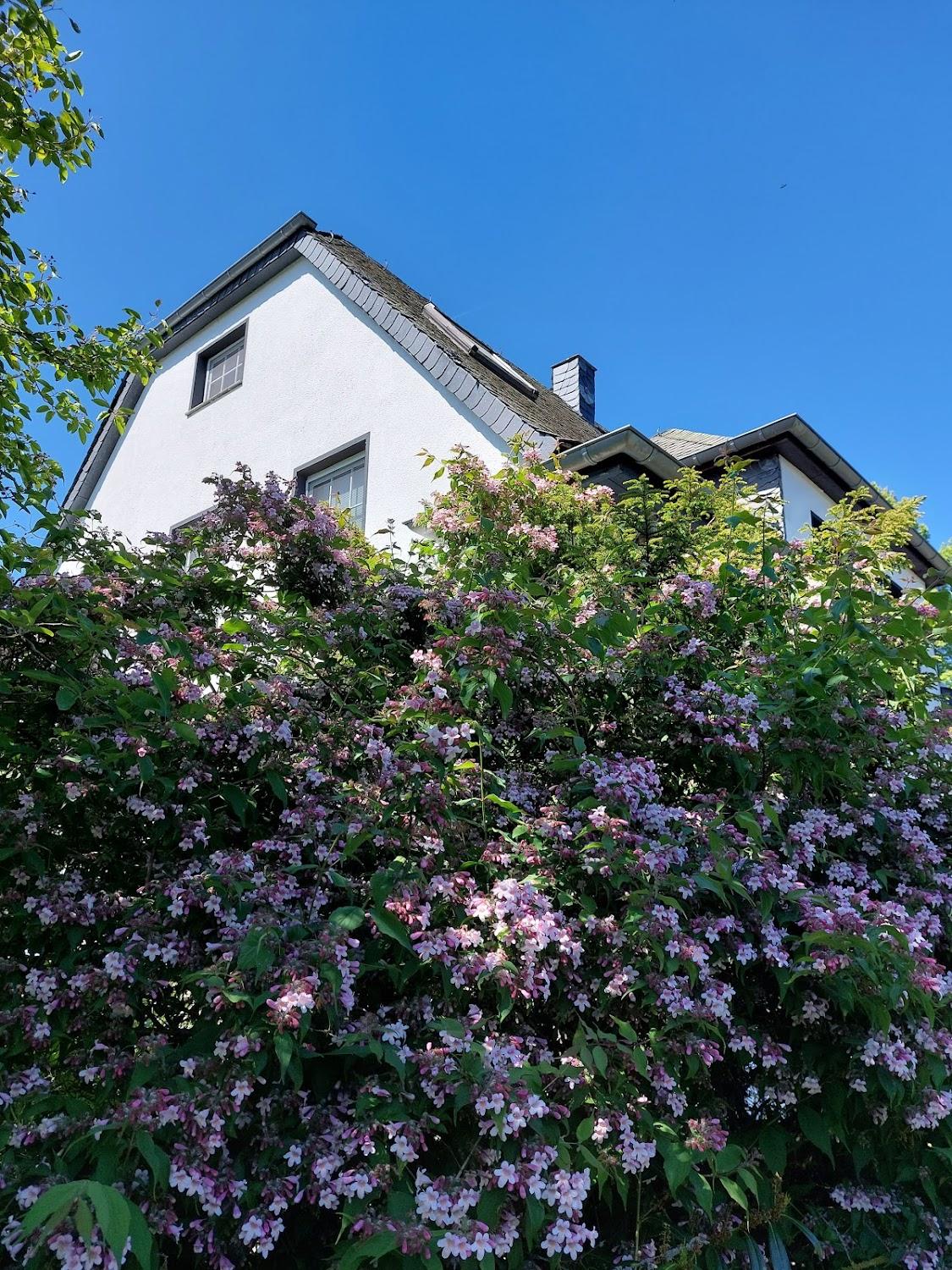 Cover Image for Bed and breakfast Alte Dorfschule
