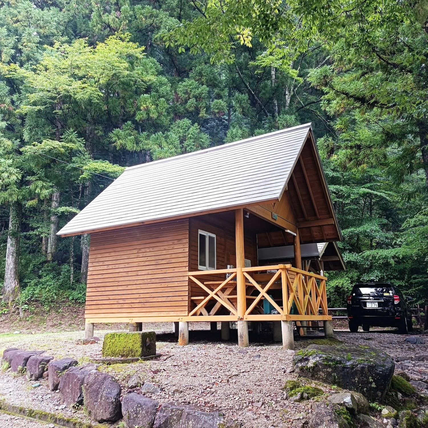 Cover Image for Forest Camping Ground