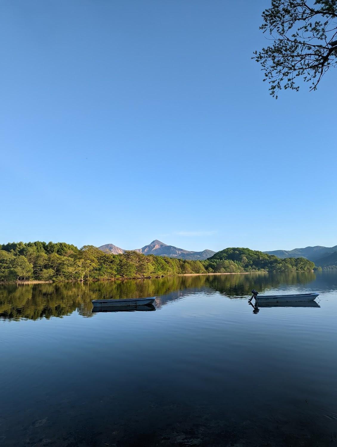 Cover Image for Kotakamori Auto Camping Ground