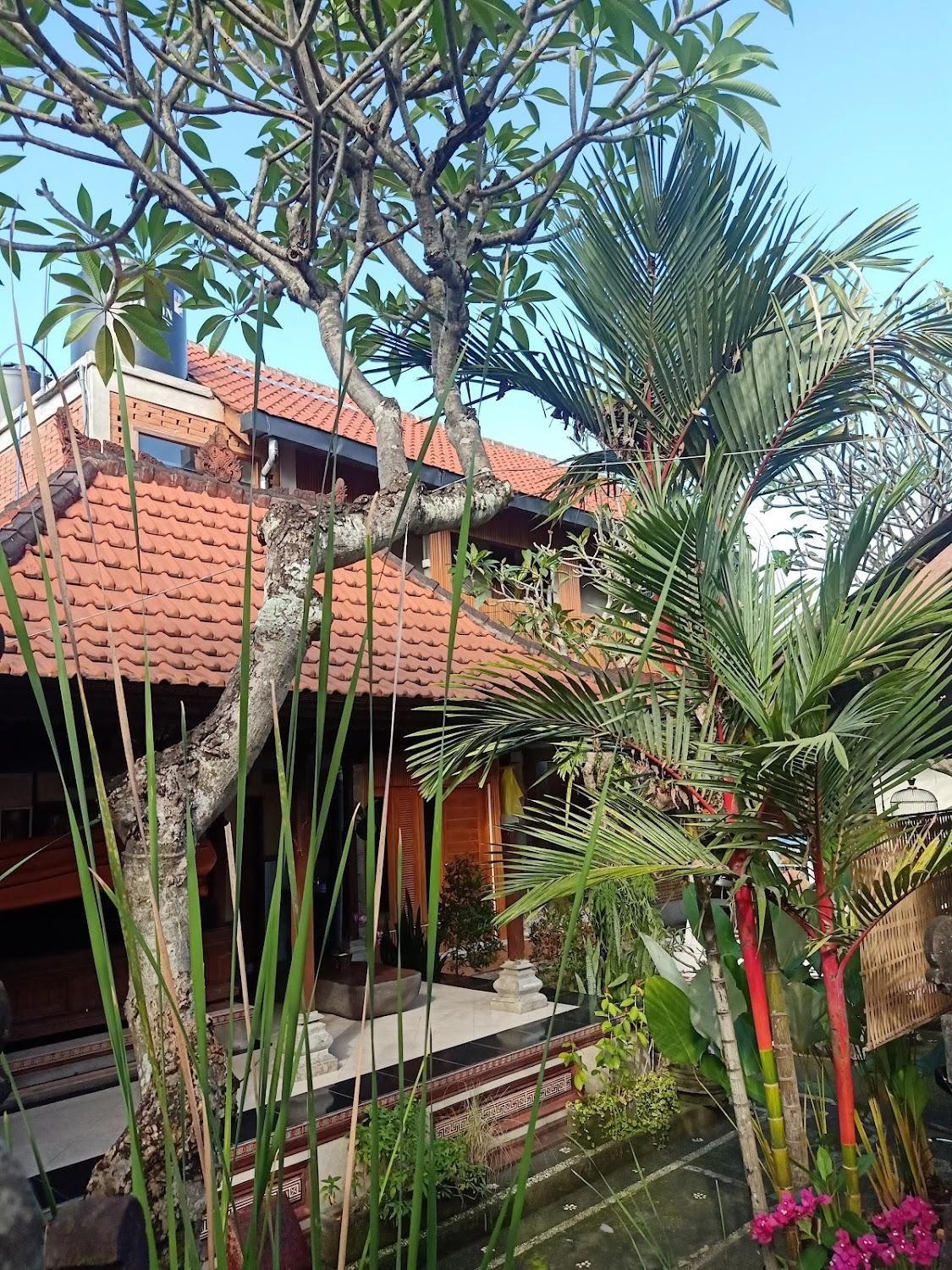 Cover Image for Sunshine Vintage House