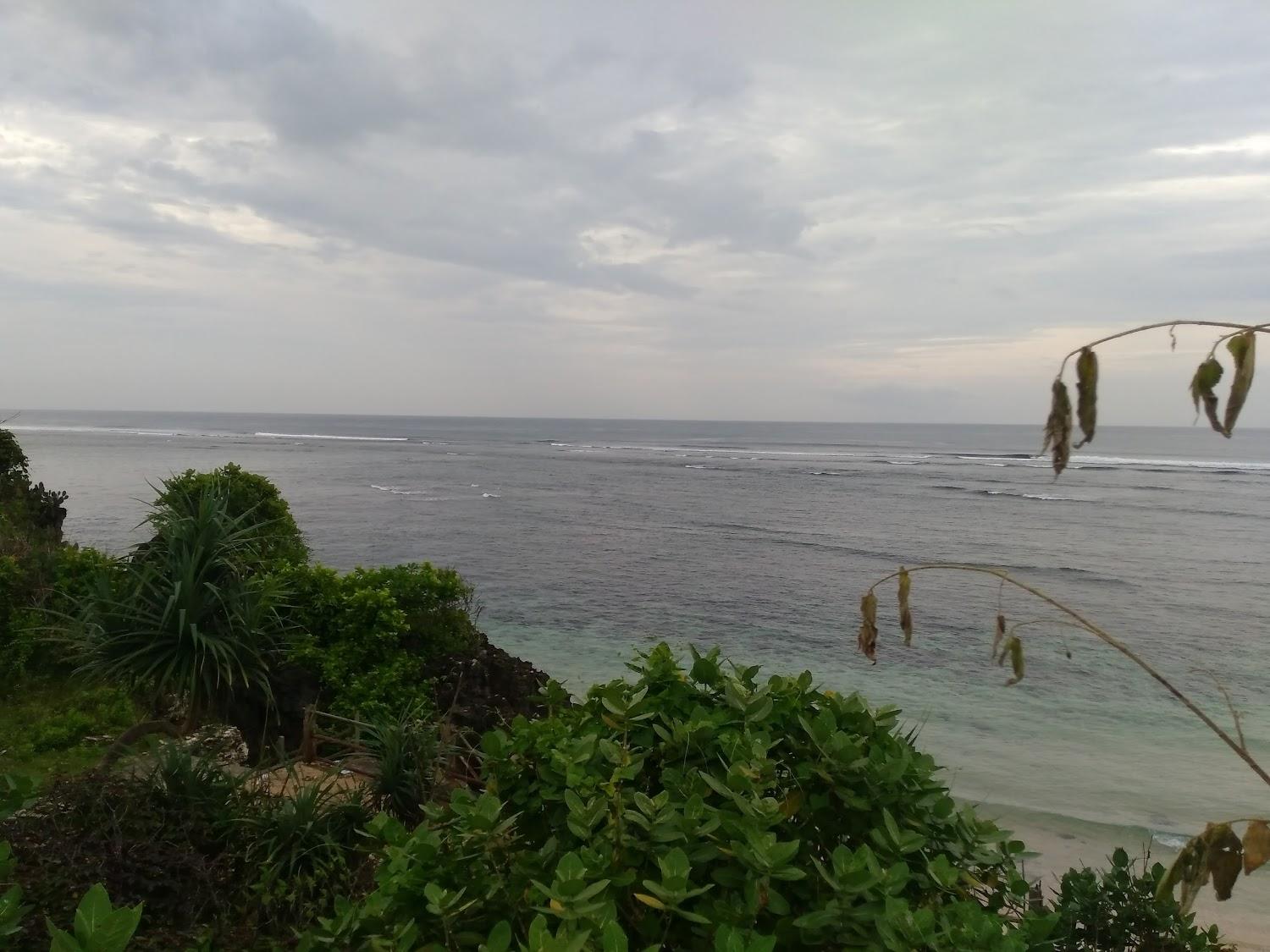 Cover Image for Wave Guru Bali