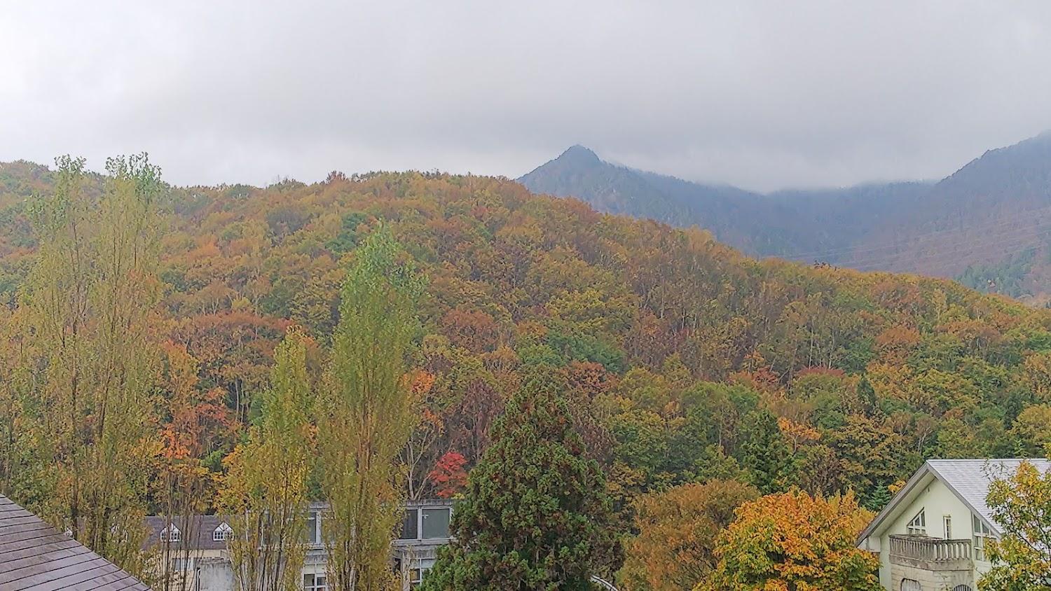 Cover Image for Azumaya Lodge