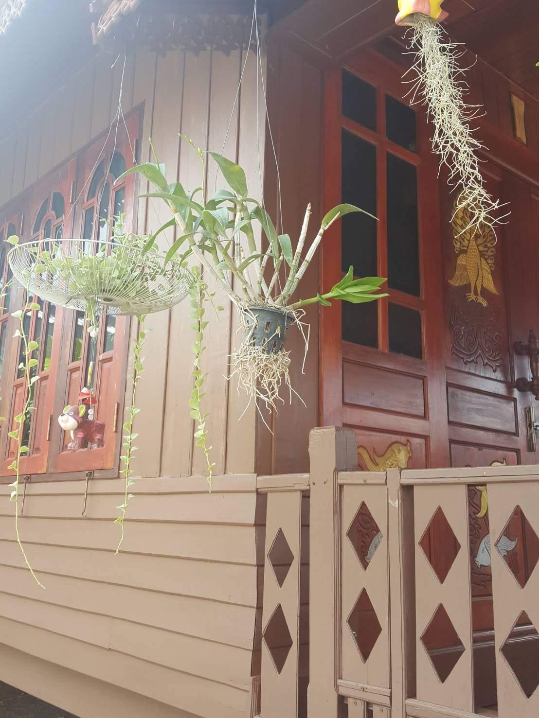 Cover Image for ครูเล็กข้าวหอมรีสอร์ท
