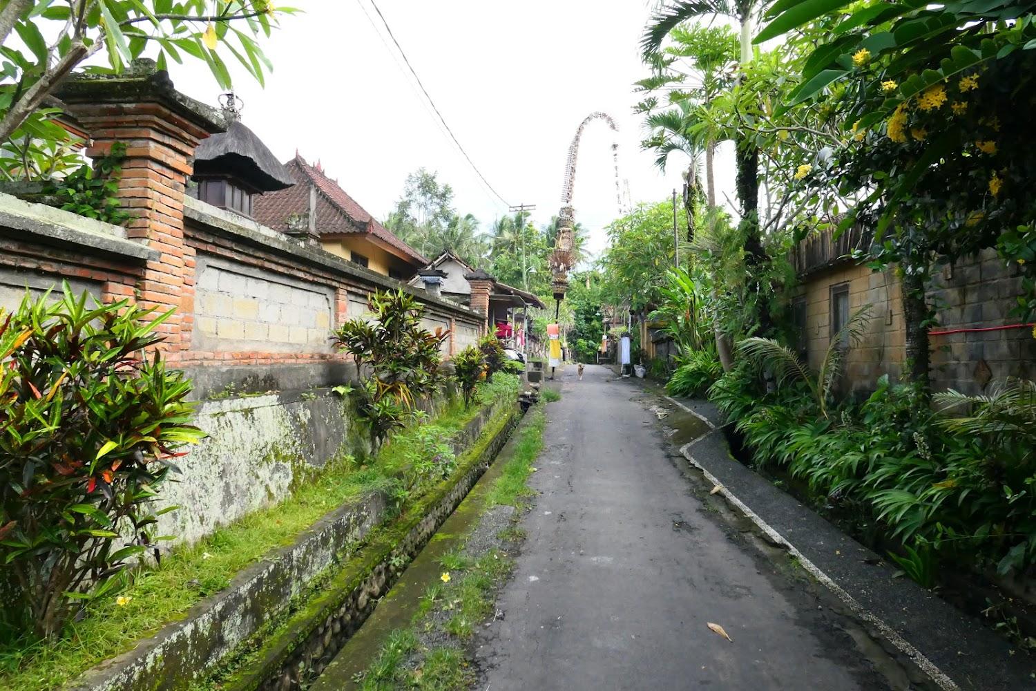 Cover Image for Asik Baliness House