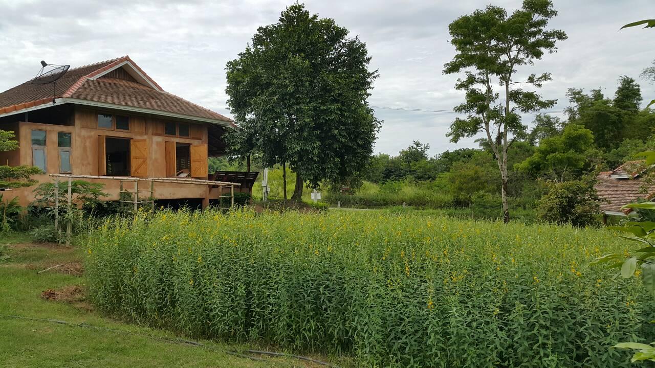 Cover Image for Cool Living Farmhouse