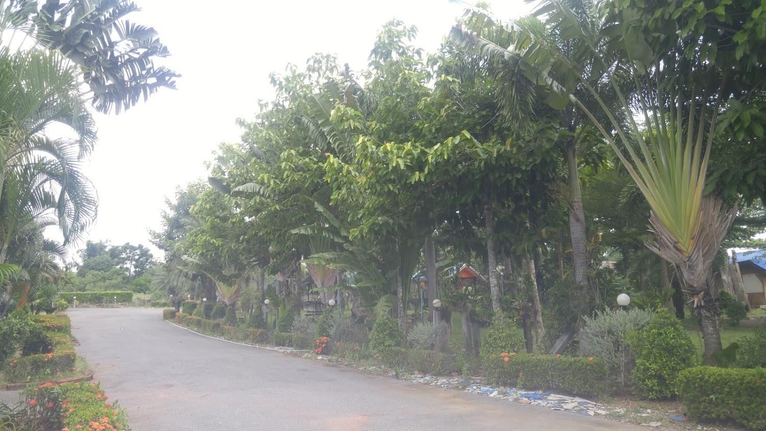 Cover Image for Si Yat Resort