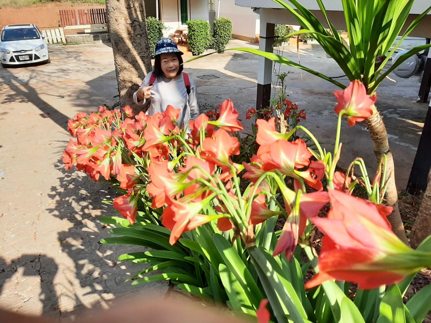 Cover Image for Ing Phu Resort
