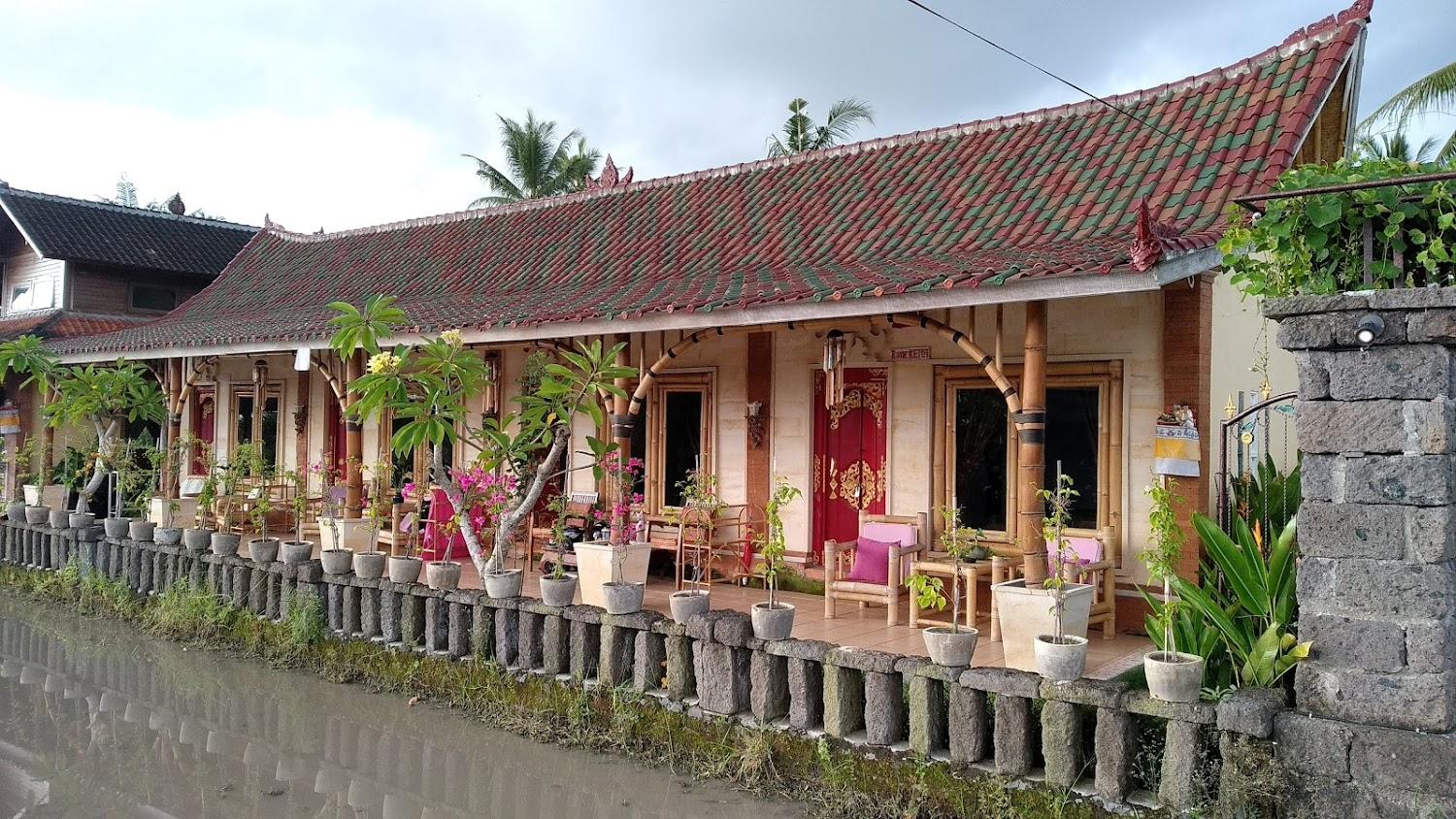 Cover Image for Rice Padi Artha