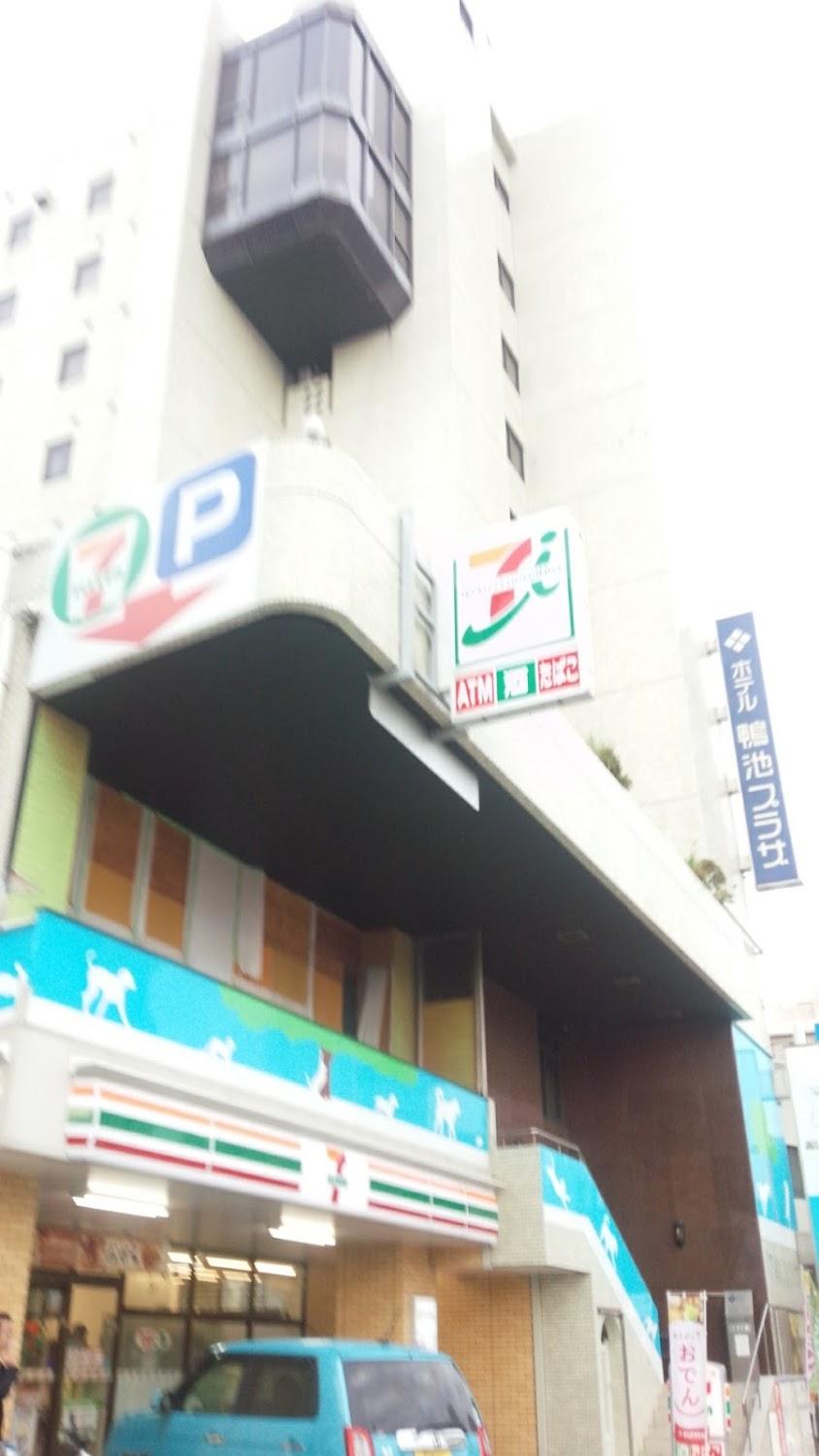 Cover Image for Hotel Kamoike Plaza
