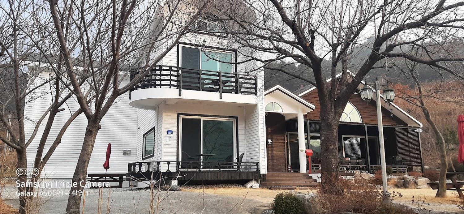 Cover Image for 요트앤밸리