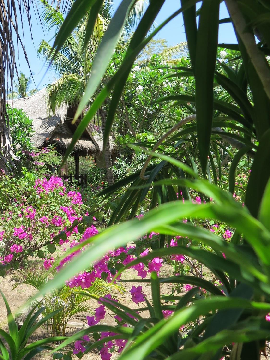Cover Image for Ananda B&B