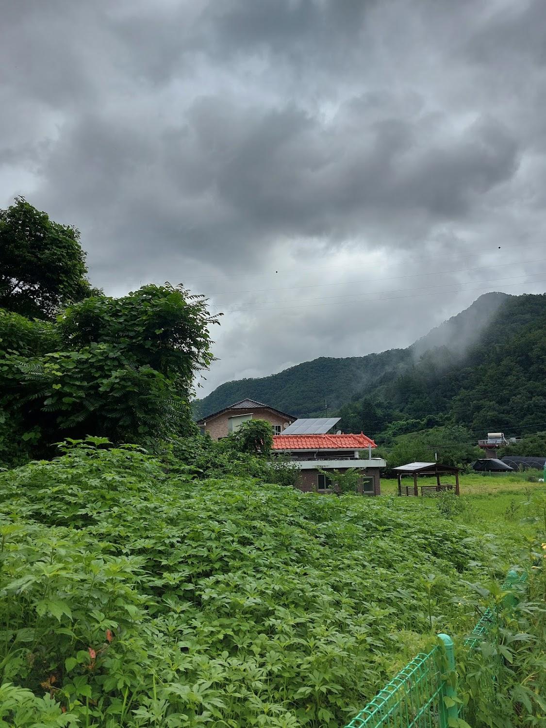 Cover Image for Namiseom Woorideul Pension