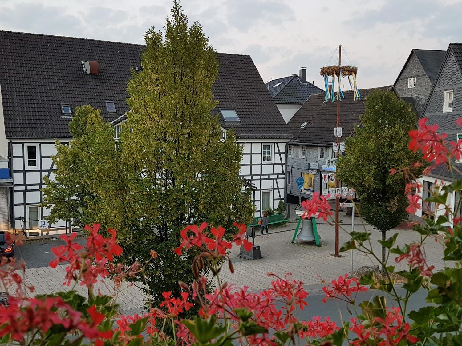Cover Image for Hotel-Restaurant Rosine