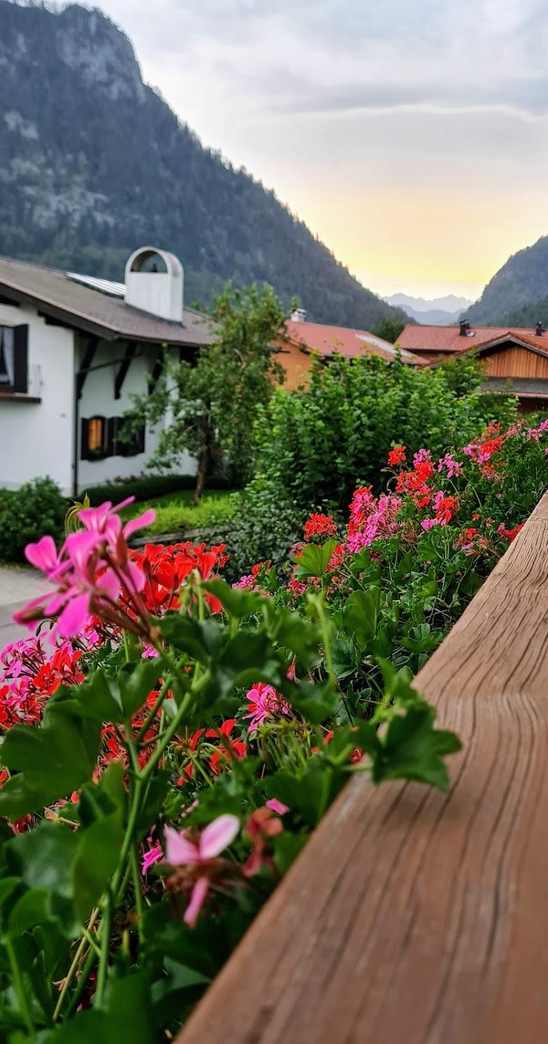 Cover Image for Haus Monika