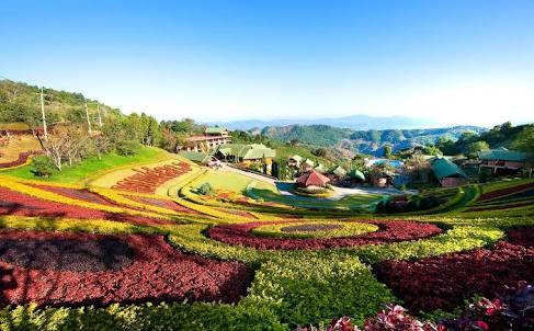 Cover Image for Mae Salong Resort