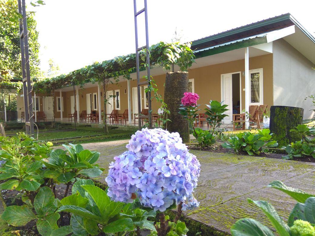 Cover Image for Rinjani Garden