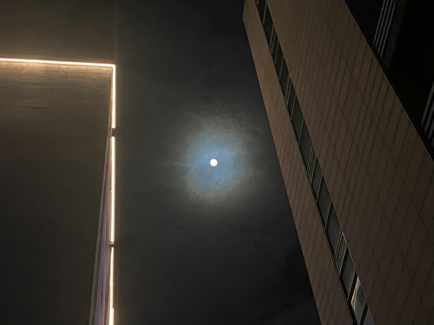 Cover Image for 코스모스호텔