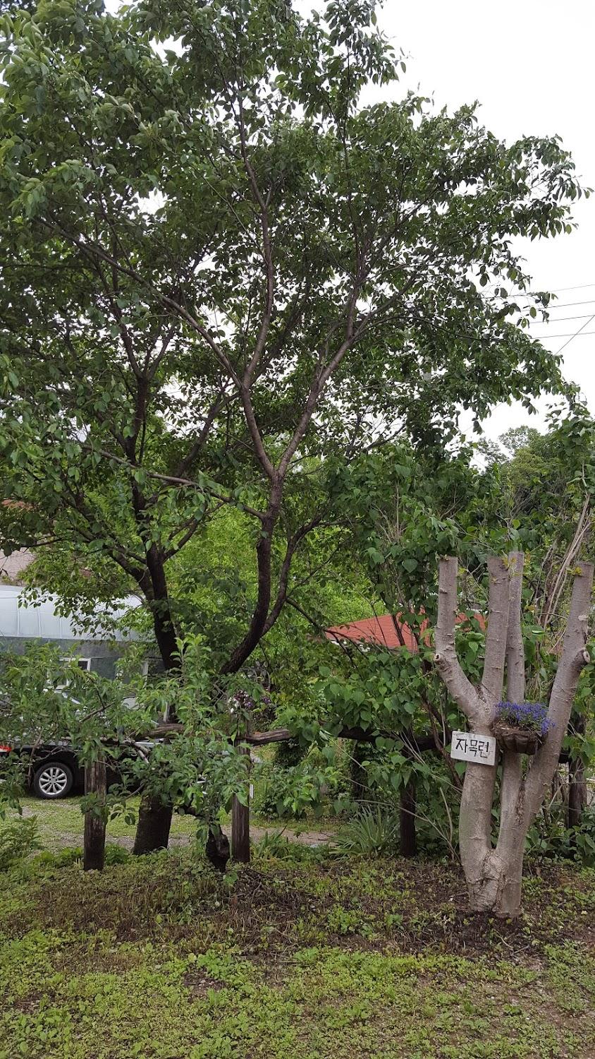 Cover Image for Yangpyeong Greentopia Pension