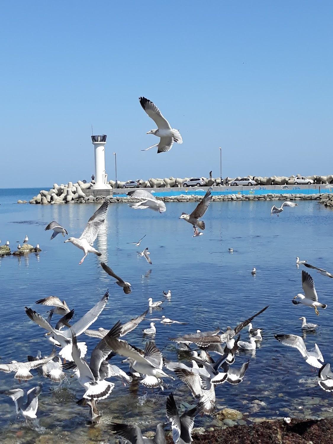 Cover Image for 호미곶 라메르펜션