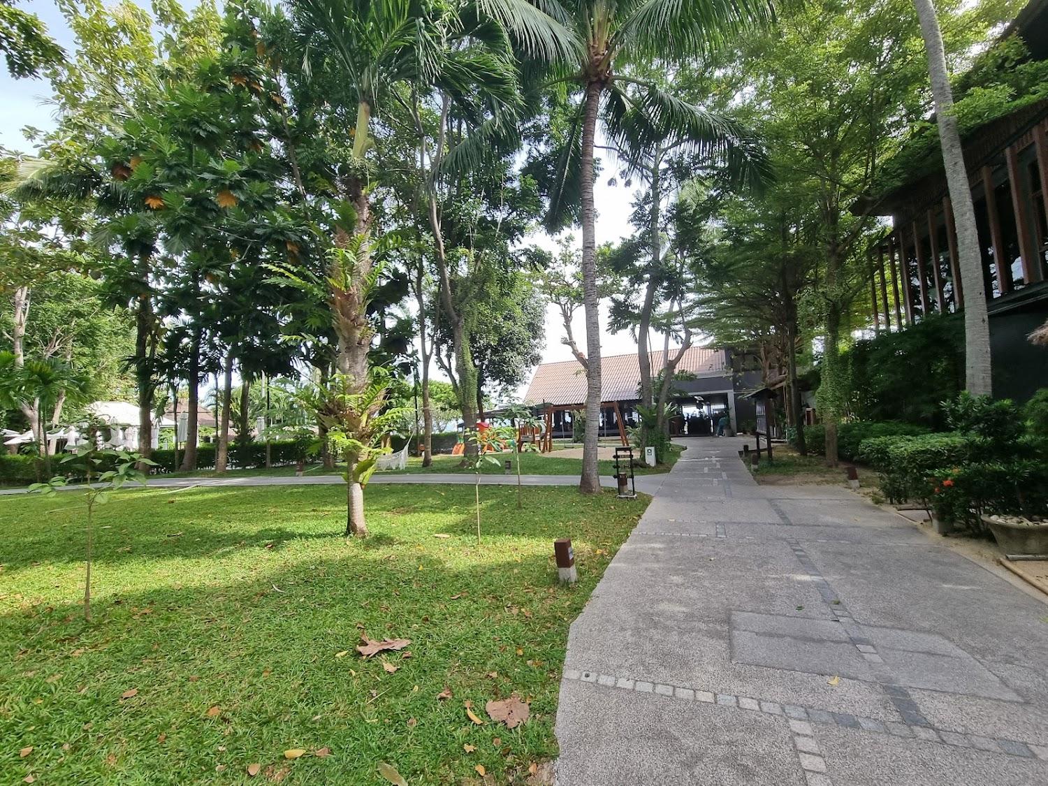 Cover Image for Peace Resort
