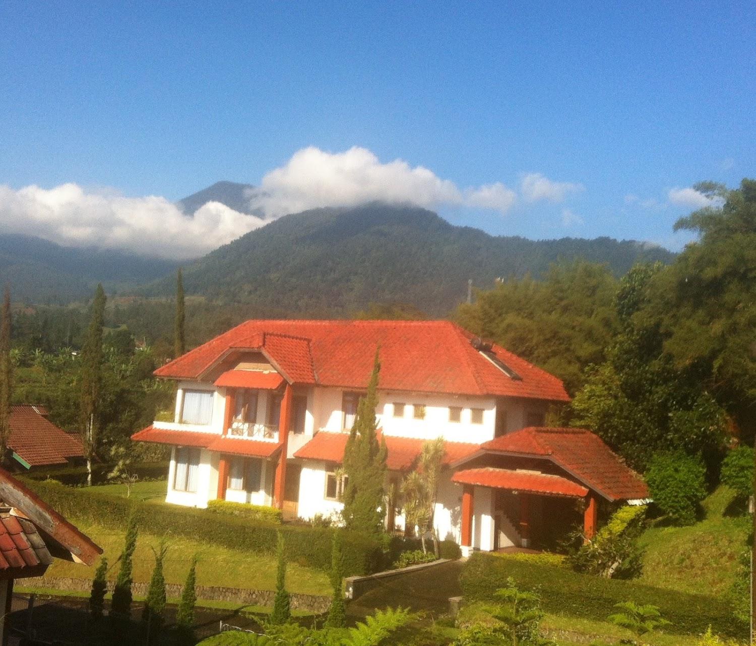 Cover Image for Villa Buena Vista