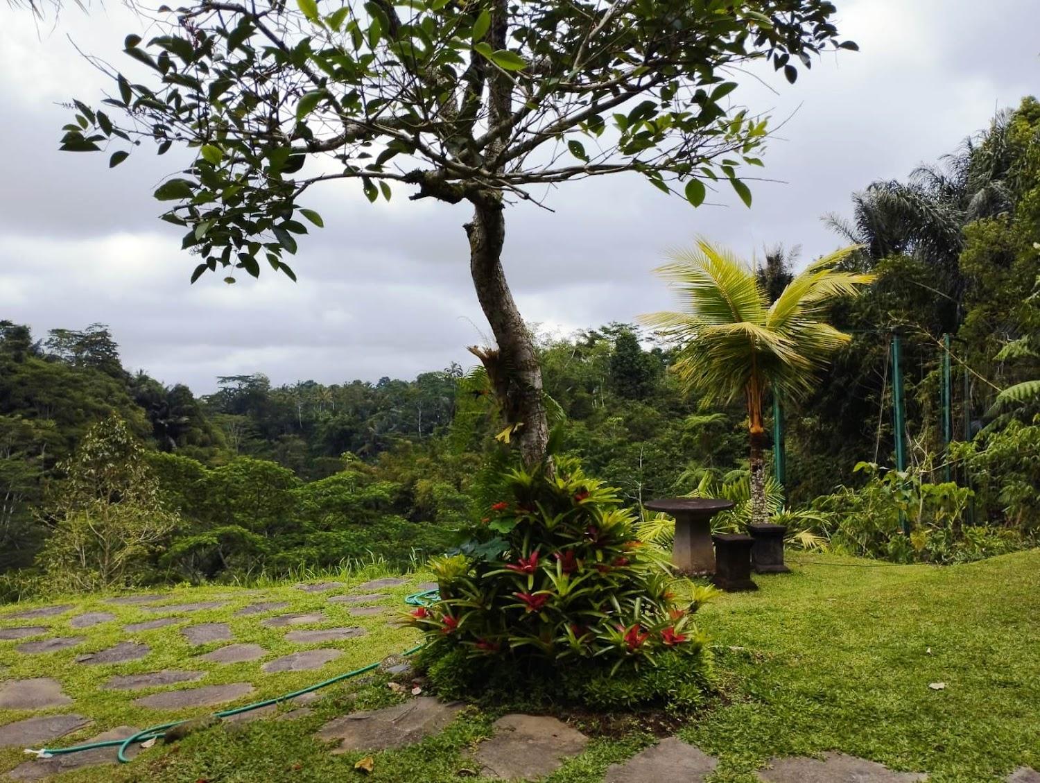 Cover Image for Moringga Ubud Bali